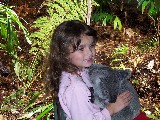 Holding a Koala in the Koala Sanctuary, Brisbane Australia.