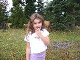 Rachel in front of Elk, Yellowstone National Park.