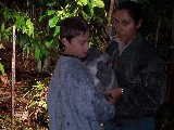 Jacob holding a Koala Jacob holding a Koala
