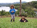 In the rain forest high up In the rain forest high up