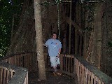 Gigant Tree Gigant Tree