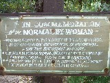 The strange White Aborigini Woman lies buried here. Settlers found this European woman living among the aboriginies and speaking nothing but their language. 30 years earlier a ship had stranded close too Cook town and a baby went missing. She was thought to be that baby. She could not live in white mans civililaztion and died an early death. The strange White Aborigini Woman lies buried here. Settlers found this European woman living among the aboriginies and speaking nothing but their language. 30 years earlier a ship had stranded close too Cook town and a baby went missing. She was thought to be that baby. She could not live in white mans civililaztion and died an early death.