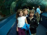 Sydney Aquarium