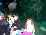 Kids Sydney Aquarium Kids Sydney Aquarium