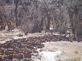 The ruins of ancient Indian buildings in Bandalier Canyon. In this part of New Mexico there was still snow