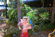 David with Parrots. There was a Parrot show on the Beach and the kids were allowed to interact with the Parrots