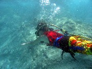 Jacob and I went Snuba diving. Snuba means that you go under water but you don't use a tank, you use a hose attached to a floating tank