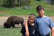 Jacob and Harrison and a buffalo