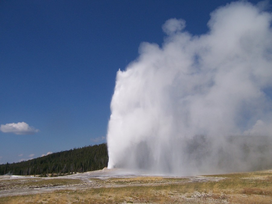 Old Faithful erupts, like a clock