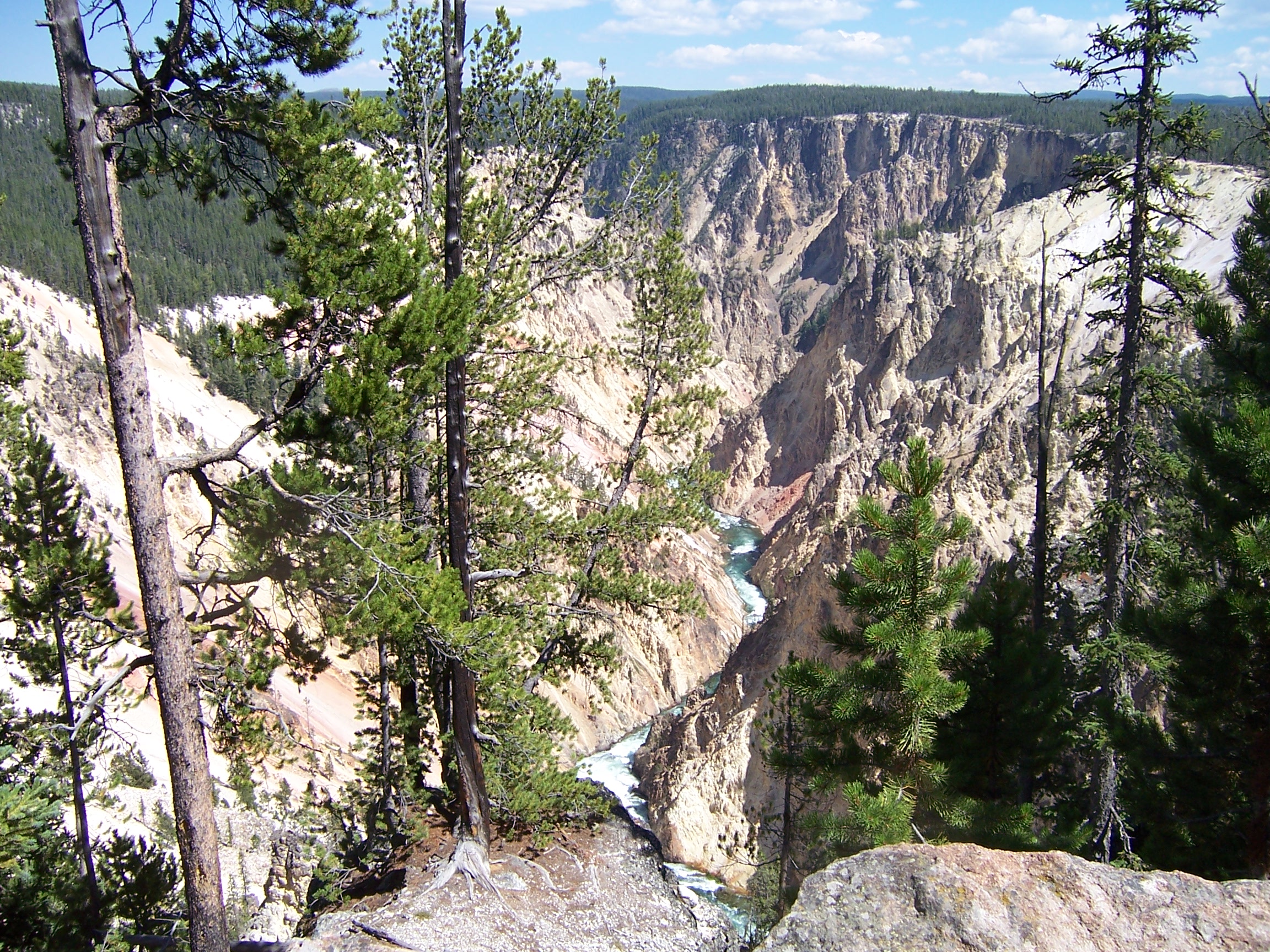 Grand Canyon of Yellowstone.