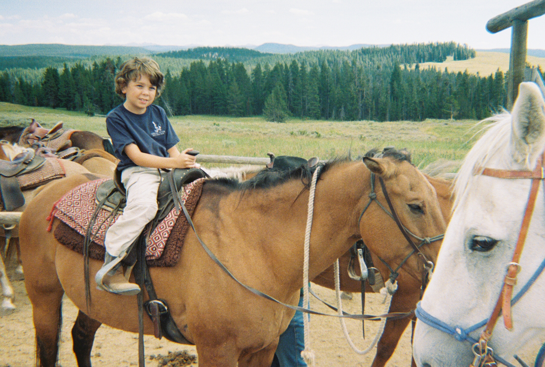 David on a horse.