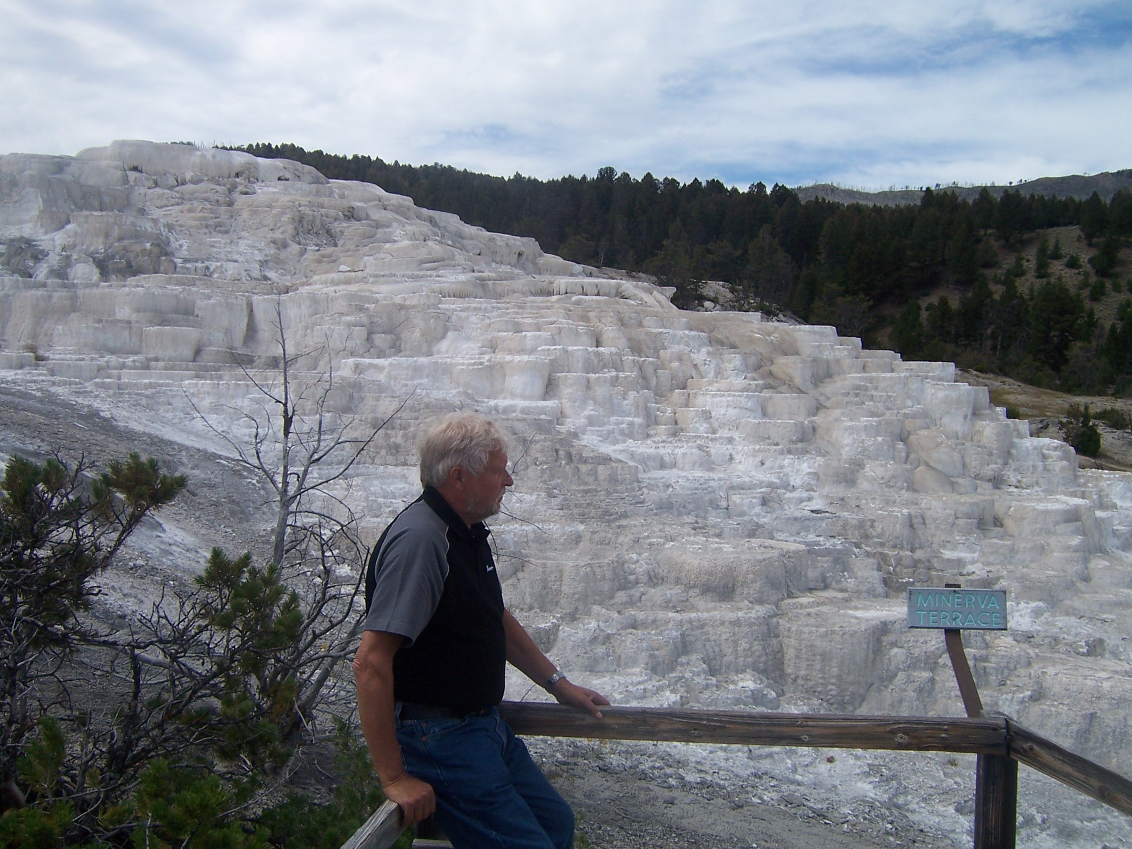 Mammoth Hot Springs.