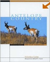 Antelope Country