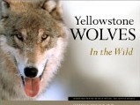 Books and DVD on Yellowstone and Grand Teton