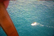 Jacob and I went parasailing, this photo is taken from up in the air Jacob and I went parasailing, this photo is taken from up in the air