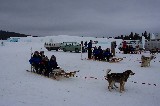 Time for our dog sled tour. Notice the Ice Hotel in the background Time for our dog sled tour. Notice the Ice Hotel in the background