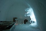 This Ice Moose was in one of the rooms This Ice Moose was in one of the rooms